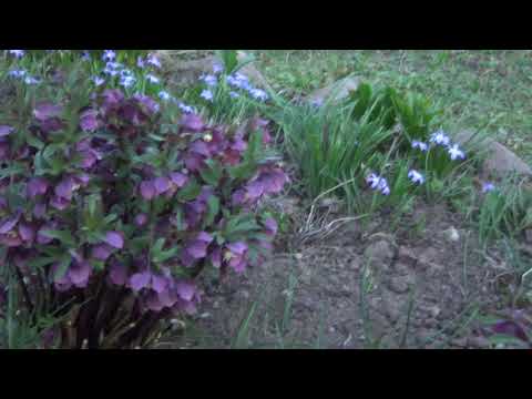 Видео: ПРИШЛА ВЕСНА, СКОРО НАЧНЕМ РАБОТАТЬ.