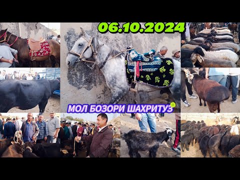 Видео: МОЛ БОЗОРИ ШАХРИТУЗ МАРХАМАН