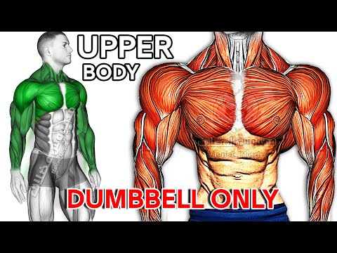 Видео: Лучшая тренировка верхней части тела с гантелями