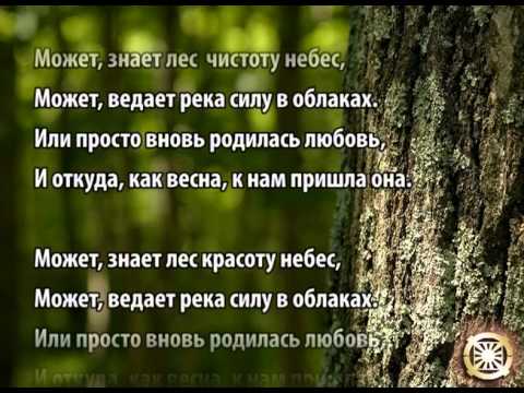 Видео: Может знает лес минус.mp4