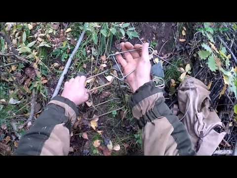 Видео: Охота на бобра с капканом КП-250  и приманкой (Будни охотника и рыбака)