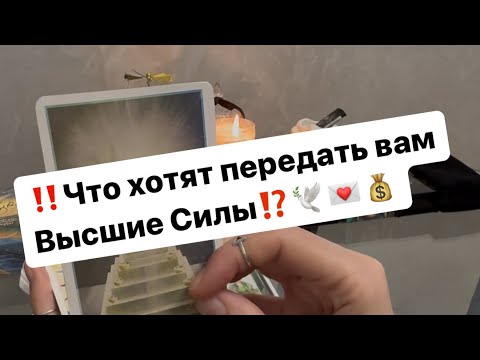 Видео: ‼️Вам сообщение от Высших сил🕊️💌💰