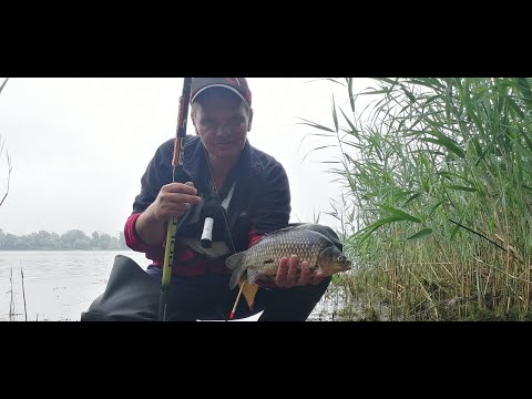 Видео: Ловля карася на поплавок в городе. Залив Верблюд.