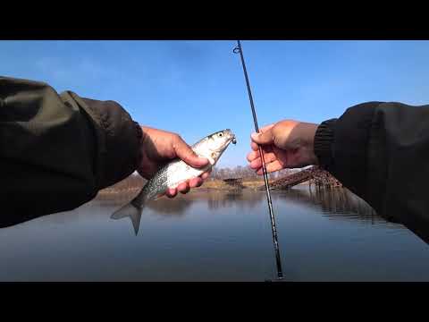 Видео: Extrеme Line Z UL 802 0.8-7 gr. 31.10.2021