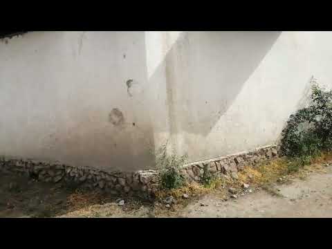 Видео: Токмок. Улицы Садаева и Весёлая.