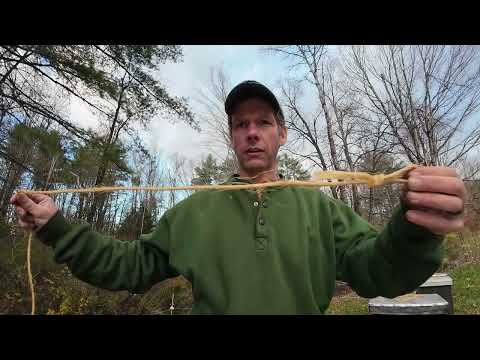 Видео: Зимняя подготовка и Королевы VSH