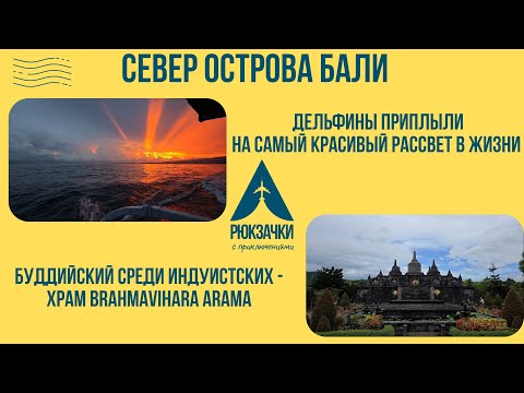 Видео: Рассвет тысячелетия на севере Бали! Плаваем с дельфинами в Ловина и посещаем храм Брахмавихара!