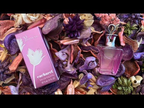 Видео: ЧТО Я НАШЛА PROMESSE CACHAREL РЕДКОСТЬ