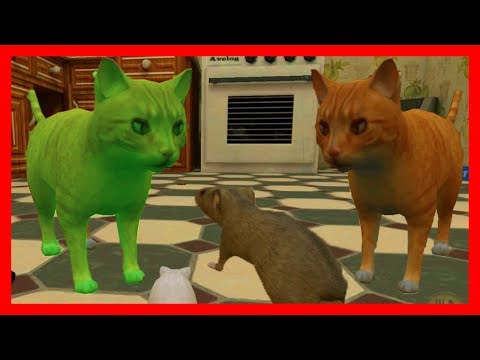 Видео: СИМУЛЯТОР МЫШИ #39 КОШКА и БЕЛКА ОХОТИЛИСЬ на МЫШОНКА в Mouse Simulator