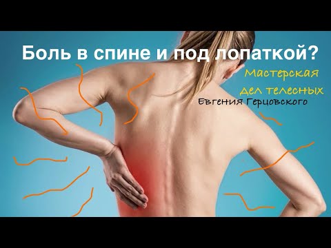 Видео: Боль в спине и под лопаткой. Лечим спину и выстраиваем позвоночник, ребра и плечевой аппарат 