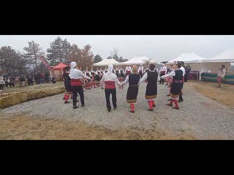 Видео: Гагаузко хоро