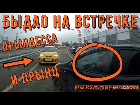 Видео: Быдло на встречке #164! Подборка на видеорегистратор!