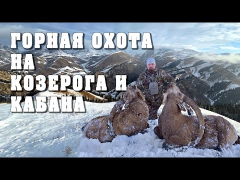 Видео: Горная охота на Козерога и Кабана. Mountain hunting for ibex and wild boar