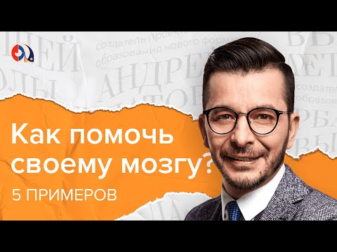 Видео: Зачем мозгу инструменты мышления?