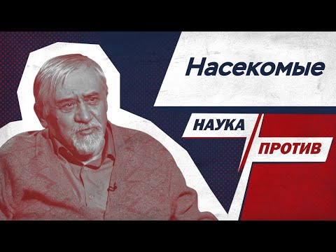 Видео: Энтомолог объясняет, чем насекомые полезны человеку // Наука против