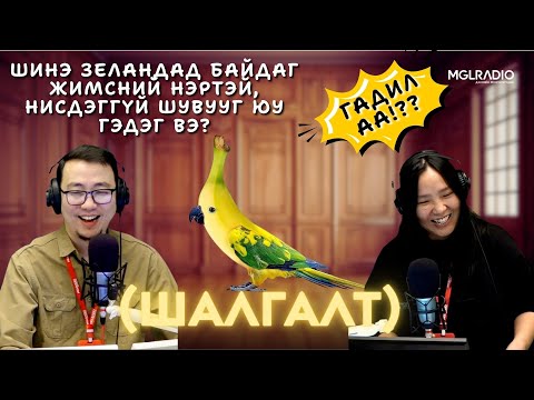 Видео: Та мэдэх үү? | 2025-11-07 | Шалгалт