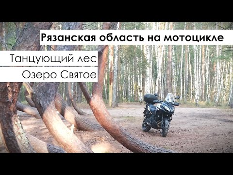 Видео: Мотопутешествие по Рязанской области. Танцующий лес, озеро Святое.