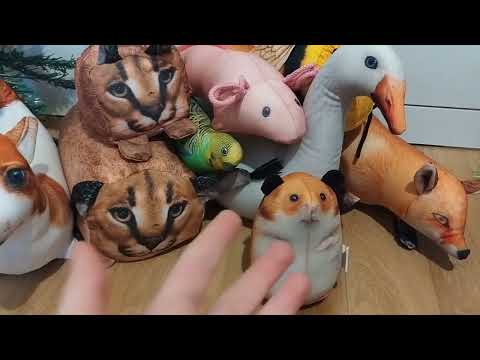 Видео: всё игрушки БЛОТОП и кто самый первый и последний #блоптоп #шортс #tiktok #видео л