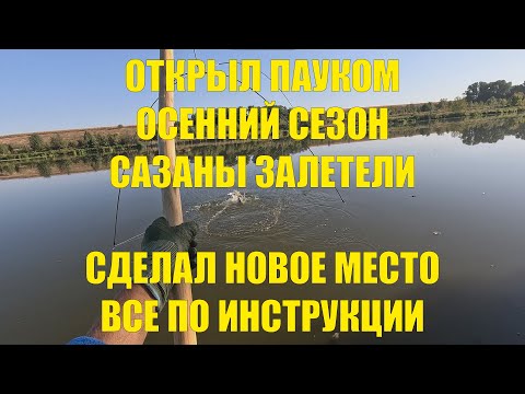 Видео: ПАУЧОК НЕ ПОДВЕЛ! САЗАНЧИКИ ПОЙМАНЫ! ОСЕННИЙ СЕЗОН ОТКРЫТ! РЫБАЛКА ПАУКОМ ЕЩЕ ТО УДОВОЛЬСТВИЕ!
