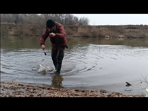 Видео: Рыбалка на налима.Поставушки-закидушки.Проверка 3.11.25г.