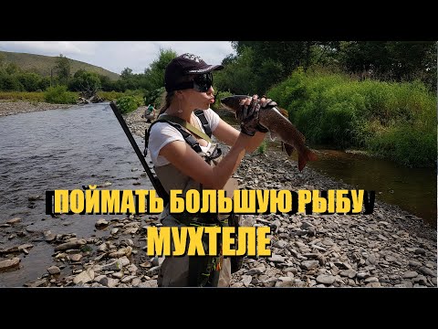 Видео: Рыбалка которую нужно увидеть. Хариус и ленок на реке Мухтеле на краю мира