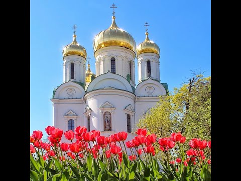 Видео: Экскурсия «Соборное кольцо» в Царском Селе