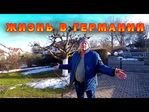 Видео: Обрезаем яблоню.  ЧАХОХБИЛИ из курицы.  Как мы живём в Германии.