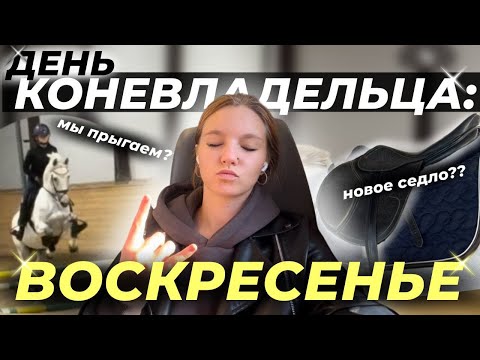 Видео: день коневладельца: воскресенье #конныйспорт
