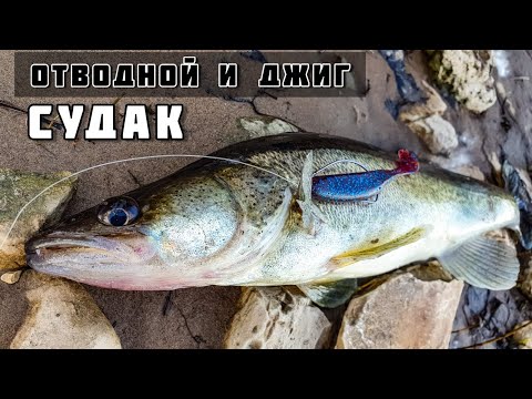 Видео: Судак на Отводной и Джиг! Рыбалка на Волге с Берега и Ловля Окуня! Тольятти Жигулёвск Моркваши