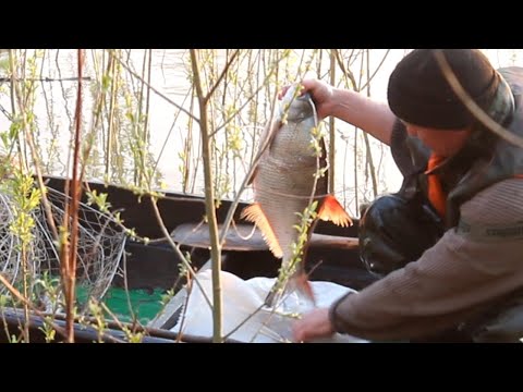 Видео: Проверка фитилей...Хороший улов лещи МУТАНТЫ...(архив)