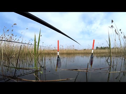Видео: КАРАСИНЫЙ РАЙ ПОСЛЕ МАЙСКИХ! ЛОВИМ НА ПОПЛАВОК В ТРОСТНИКЕ С ЛОДКИ!