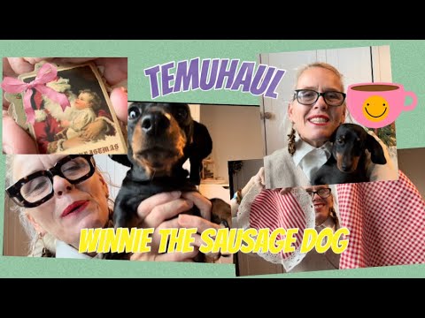 Видео: 🩷Temu Bargains🩷& Винни, собака-сосиска🩷 #temu #haul #love #daschund #family