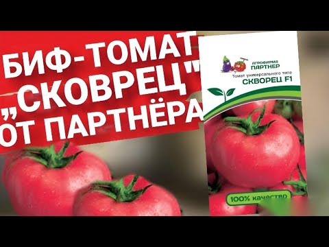 Видео: ИДЕАЛЬНЫЙ БИФ ТОМАТ "СКВОРЕЦ" ОТ ПАРТНЕРА