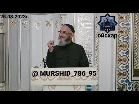 Видео: ИСА ХЬАЖА ОЙСХАР! БИЛАЛ АСХЬАБЕХ ЛАЬЦ ХАЗ ХЬЕХАМ