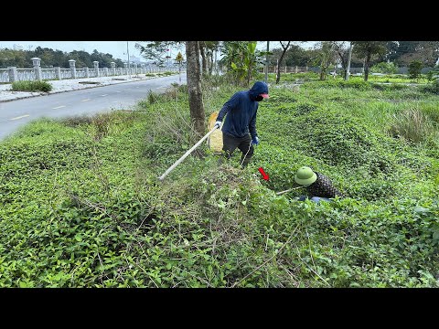 Видео: Страшное открытие, когда мы расчищали пни на тротуаре