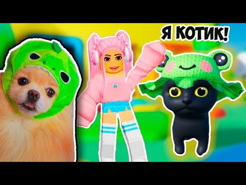 Видео: Я БЕЗДОМНЫЙ КОТИК В РОБЛОКС ! МЕНЯ ВЫГНАЛИ ИЗ ДОМА В ROBLOX