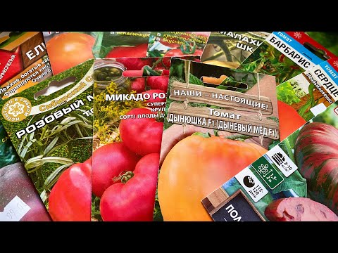 Видео: Суперурожайные томаты - Обзор 2023! Слаще только в сказке!#обзортоматов#уральскиетоматы