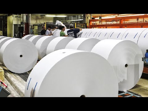 Видео: Как миллиард тонн бумаги производится на фабрике- Заготовка и переработка древесины-Бумажная фабрика
