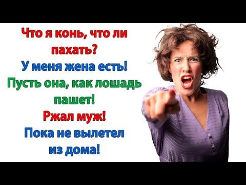 Видео: Я наработался за всю жизнь! Посижу на шее у жены  Пусть она теперь, как лошадь пашет! ржал муж