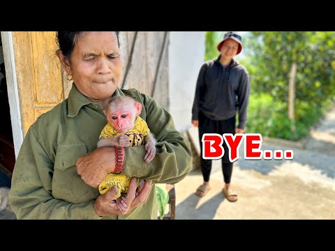 Видео: Почему обезьянка Хаки такая грустная???