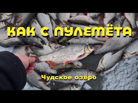 Видео: Рыбалка на Чуде. ЭВРИКА! Что влияет на клёв?