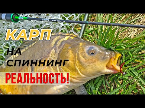 Видео: НАНО спиннинг творит чудеса! Едем с "мормо" за карпом целенаправленно. Lucky John Anira Nano Energy.