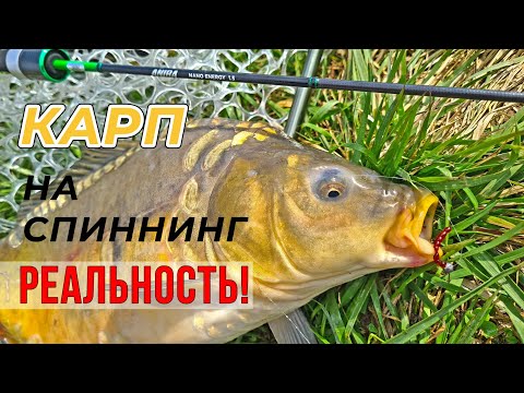 Видео: НАНО спиннинг творит чудеса! Едем с "мормо" за карпом целенаправленно. Lucky John Anira Nano Energy.