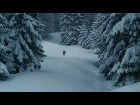 Видео: ЕЛЕНА ВАЕНГА  "ТАЙГА"