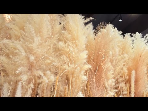 Видео: Моментальные изменение реальности от внутреннего настроя. Благосостояние= БЛАГОЕ СОСТОЯНИЕ