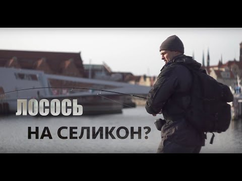 Видео: Рыбалка в центре Гданьска. Река Мотлава.