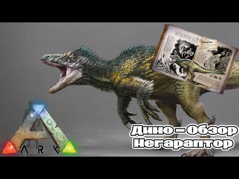Видео: ARK SURVIVAL ASCENDED ДИНО ОБЗОР МЕГАРАПТОР. ПРИРУЧЕНИЕ, СПОСОБНОСТИ, ОСОБЕННОСТИ
