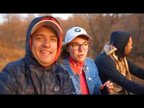 Видео: Африка. Завод BMW изнутри. Окружили Львы в Машине. Кинул Цаплю в Воду Кишащую Тварями