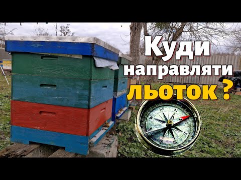 Видео: В яку сторону направляти льоток вулика?