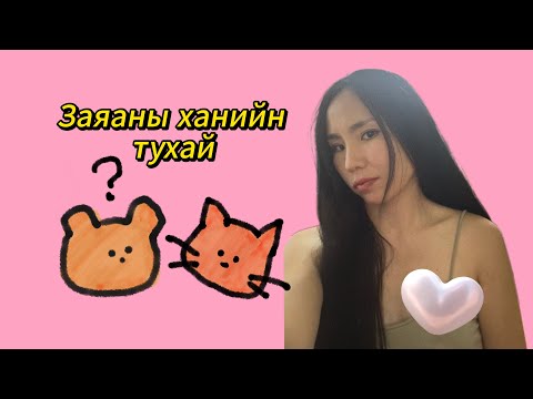 Видео: Хортой харилцаа?, Заяаны хань?, Чи яг юу хүсээд байна вэ? 🥲